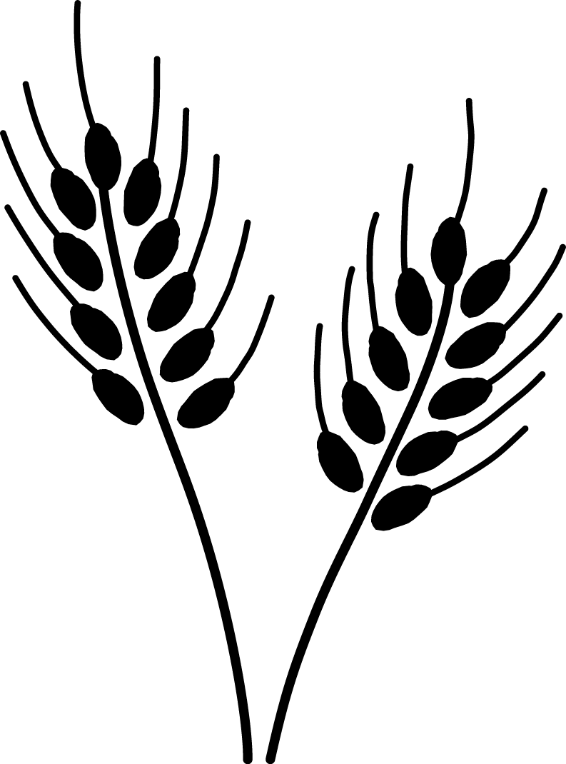graankorrels-logo